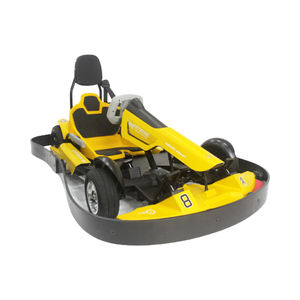 Go karting électriques pour adultes, karting <span class=keywords><strong>de</strong></span> <span class=keywords><strong>course</strong></span>, bon marché et <span class=keywords><strong>de</strong></span> <span class=keywords><strong>bonne</strong></span> <span class=keywords><strong>qualité</strong></span>, pour parc d'attractions, carénage, tout terrain, pour enfants - Product Image 2