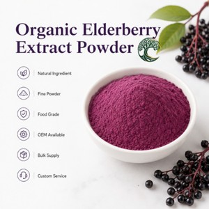 Poudre d'extrait de <span class=keywords><strong>sureau</strong></span> biologique premium en vrac, soluble dans l'eau, pure et naturelle, poudre de fruits de Sambucus Nigra de qualité alimentaire, vente en gros - Product Image 3