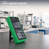 Calibrateur de température portable TC Thermocouple RTD PT100 avec simulation de source MA/V et mesure pour utilisation sur site