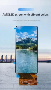 Módulo de Pantalla AMOLED de 6.39 Pulgadas, Brillo de 500nit, Interfaz MIPI de 4 Carriles, Controlador IC SD5207, 16.7 Millones de Colores - Product Image 2