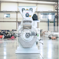 Machine à fabriquer des granulés de bois RICHI - Machine à granulés de sciure de bois personnalisée gratuite pour la Pologne
