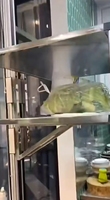 Ascenseur en toute sécurité monte-charge ascenseur pour restaurant