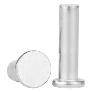 10 piezas/bolsa Remaches Sólidos de Cabeza Plana de Acero Inoxidable 304 de Calidad Premium M2 M2.5 M3 M4 M5 M6 Remaches Sólidos de Cabeza Delgada GB109 - Product Image 1