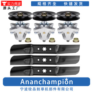 Kit de Reparación de Cortacésped Ananchampion 50 en 1 A16713 para Usuarios de Cortacéspedes - Product Image 1