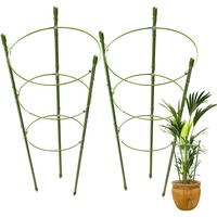 Tomate Plante Grimpante Piquet de Soutien avec Anneau Réglable Vigne Treillis pour En Pot Fleur Soutien Treillis pour les Plantes De Jardin Cage