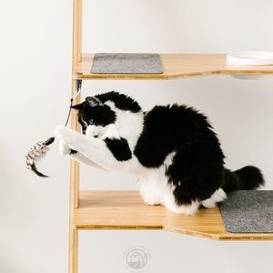 Étagère à chat moderne en bambou, à deux niveaux, surélevée, avec bol en céramique, tapis doux, grattoir en jute pour usage intérieur - Product Image 4