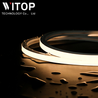 WITOP-Bande lumineuse en silicone pour décoration de façade extérieure, étanche IP67 10x10mm, LED 12/24V