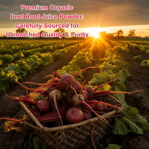 Suplemen kesehatan alami kapsul bubuk bit untuk pendukung tekanan darah kinerja atletik meningkatkan sistem kekebalan tubuh - Product Image 5