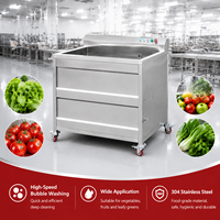 Industriële groente- en fruitwasmachine Commerciële 304 roestvrijstalen wasmachine met ozonontsmettingsapparatuur met belletjeswasmachine