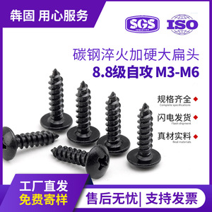 สกรูเกลียวปล่อยหัวแบนใหญ่สีดำ เกรด 8.8 เหล็กกล้าคาร์บอน สำหรับงานโลหะ - Product Image 5