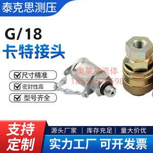 G18 Caterpillar <b>Connector</b> Pressure Test <b>Quick</b> <b>Connector</b> For Excavators High Pressure Hydraulic Steel Fitting - Product Image 5