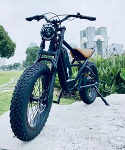 Popolare Nuova Produzione Della Bici Grasso Pneumatico Retro Bicicletta Elettrica/Enduro Fat Tire Vintage Ebike - Product Image 3