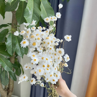 Natürlich Getrocknete Handgemachte Rodanthe-Chrysanthemen Trockenblumen-Arrangement für Abschlussfeier Weihnachten Chinesisches Neujahr Heimdekoration