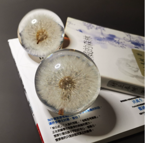 Nhựa bồ công anh thực sự tự nhiên thực vật mẫu tinh thể thủy tinh nhựa ống kính bóng - Product Image 5