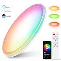 Plafonnier intelligent LED RVB 24W moderne intérieur monté en surface avec télécommande base en fer pour salon chambre lecture