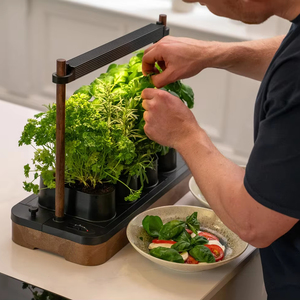 Kit <span class=keywords><strong>de</strong></span> jardinage hydroponique solaire personnalisable et économe en énergie, plateau compact pour micro-légumes avec éclairage LED et cadre en bambou pour usage domestique - Product Image 1
