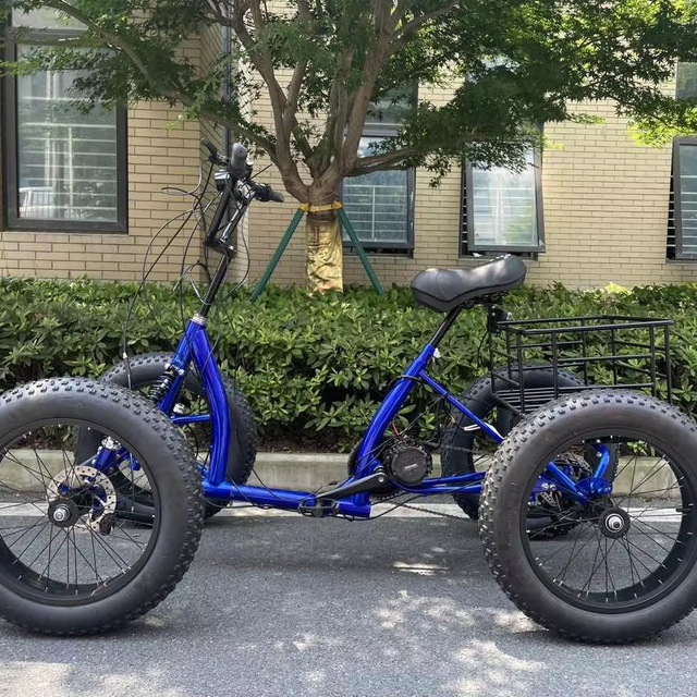 2025 Popular 4-Wheel Electric Bike 1000W Motor 48V 24Ah Battery All-Terrain Electric Quad Cargo Bike with Shock Suspension