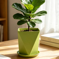 Pots à fleurs carrés en plastique PP avec trou de drainage, design durable de style américain, capacité de 2,02 L pour la décoration des plantes à la maison et au jardin