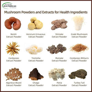 Extrait de Chaga sauvage de Chine UE organique 10:1 Pesticide-<span class=keywords><strong>Test</strong></span>é OEM Premix & Capsule Solutions de remplissage - Product Image 3