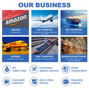 FBA deur-tot-deur service DDP zee-/luchtvracht expediteur China scheepvaart agent naar VS Europa Frankrijk Canada VK - Product Image 6