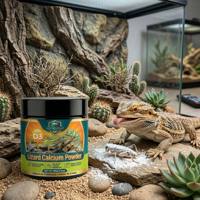 Hagedis Reptiel Gekko Fruitpoeder Probiotica Voedzame Puree voor Blauwtong & Leeuwenmanen Draken Drop Shipping