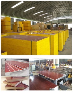 Cina lavorazione del legno di alta qualità legno duro eucalipto pellicola rivestita in compensato cassaforma in calcestruzzo - Product Image 5