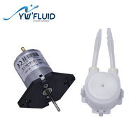 Pompe péristaltique de dosage d'eau à moteur CC haute pression Micro 6V/12V/24V de bonne qualité, personnalisable OEM, débit de 130 ml/min, garantie 1 an