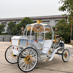 Carruaje de Caballos para Turismo, Carruaje Eléctrico de Calabaza de Cenicienta para Bodas, Carruaje Real Blanco de Lujo - Product Image 4