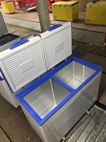 Congélateurs coffres électriques AC/DC blancs à porte pliante, 220L, mini-congélateur coffre à température unique pour usage domestique et hôtelier