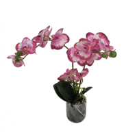 Plante artificielle réaliste de haute simulation, orchidée Phalaenopsis en bonsaï, pour la décoration de table de Thanksgiving, Pâques, Noël, ou de remise de diplôme