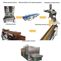 Hoge Kwaliteit SHENGHE Automatische IQF Mango Blokjes Verwerkingslijn Diepvries Fruit en Groente Productielijn 3000KG Capaciteit