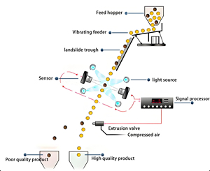 Máquina Clasificadora de Arroz Nueva y Personalizada, Hecha en China - Product Image 6