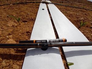 <span class=keywords><strong>Tuyau</strong></span> d'irrigation pré-perforé en PP connectable <span class=keywords><strong>à</strong></span> une bande <span class=keywords><strong>goutte</strong></span>-<span class=keywords><strong>à</strong></span>-<span class=keywords><strong>goutte</strong></span> pour l'agriculture - Product Image 3