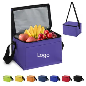 Borsa pranzo con isolamento personalizzato promozionale borsa termica 6 lattine con logo sacchetti di raffreddamento isolati in poliestere per mantenere il cibo freddo