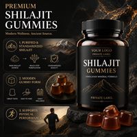 Gummies de Shilajit à formule personnalisée OEM sous marque privée avec mousse marine et Ashwagandha