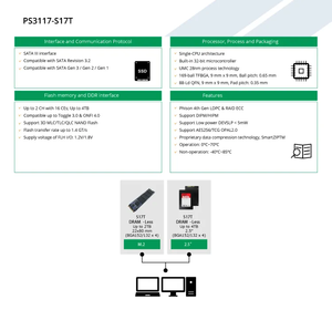 피슨 PS3117-S17 S17 SATA III M.2 2242 2280 SSD 128GB 256GB 512GB 1TB 2TB 솔리드 스테이트 드라이브 - Product Image 4