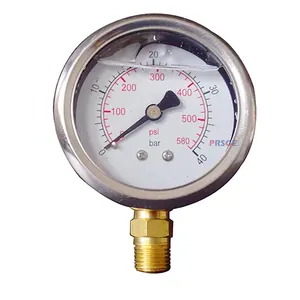 Connecteur en laiton Hydraulique Boîtier En ACIER INOXYDABLE Rempli de Liquide Gaz Jauge de Pression D'eau
