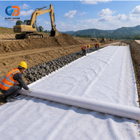 Géotextile en PET à longs fibres non tissées, résistant aux perforations (plus de 2,5 kN CBR), utilisé pour le drainage souterrain et la séparation des couches de sol dans les pavés.