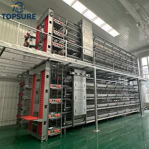 Source fiable, cages <span class=keywords><strong>à</strong></span> poulets robustes prêtes <span class=keywords><strong>à</strong></span> l'exportation, cages <span class=keywords><strong>à</strong></span> poulets Rtl, poulaillers préfabriqués Rtl <span class=keywords><strong>à</strong></span> vendre - Product Image 1