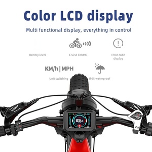 <span class=keywords><strong>Moto</strong></span> <span class=keywords><strong>électrique</strong></span> rétro tout-terrain à cadre en acier de 20 pouces pour <span class=keywords><strong>Amazon</strong></span> Cross-Border pour l'Europe et les États-Unis, batterie au lithium 52V - Product Image 4