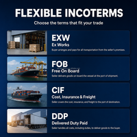 Los 10 Mejores Agentes de Envío Puerta a Puerta, Transporte Marítimo LCL y FCL, Dropshipping Express a EE. UU., Reino Unido y Canadá