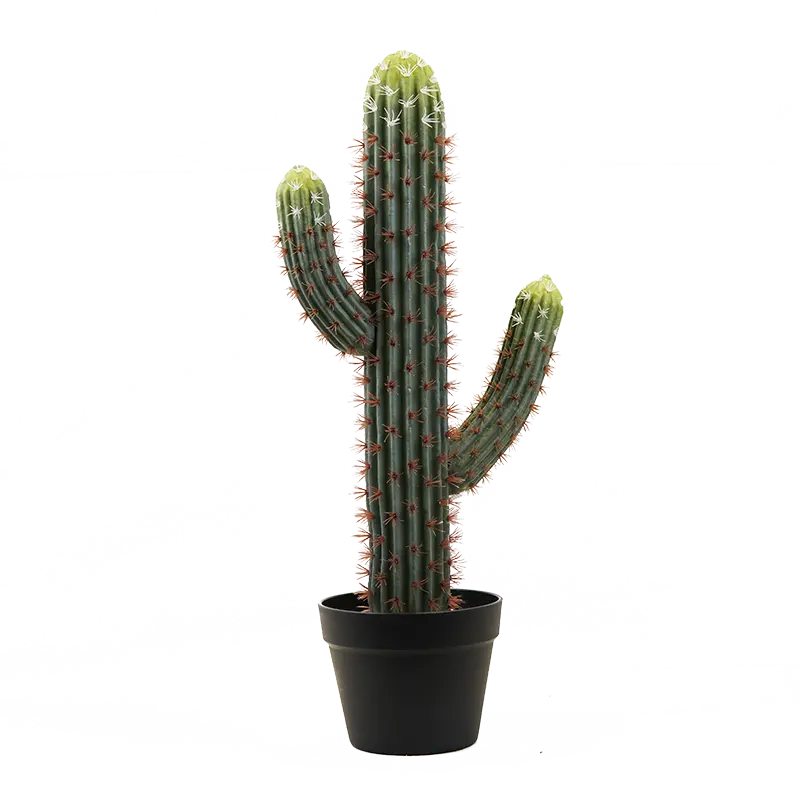 Cactus artificiel pour décoration intérieure, vente en gros