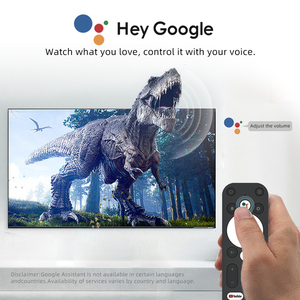 Dcolor GD1 S905Y4 2GB 16GB Dongle TV Stick 4K <span class=keywords><strong>Google</strong></span> certifié 2.4G/5G Dual WIFI BT Android 11.0 ATV Smart TV Fire Sticks TV BOX - Product Image 5