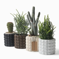 Petit pot à fleurs en céramique de style nordique pour plantes succulentes et Monstera Deliciosa avec décorations d'animaux
