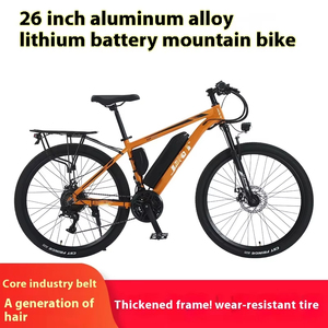 Bicicletta Elettrica OEM ODM 36V 48V con Batteria al Litio 10Ah, Motore 250W 350W 500W, Forcella in Acciaio, Freno a Disco, 21 Velocità - Product Image 6