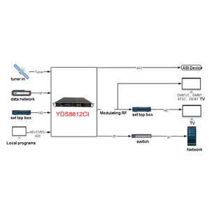 Décodeur satellite professionnel 12 en 1 DVB-S2 <span class=keywords><strong>HD</strong></span> CI IRD DVB-S2 pour canaux cryptés - Product Image 4