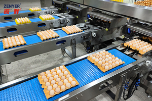 Zenyer Hot Bán 304A Quy Mô Trung Bình Công Suất 30000 Rửa Trứng Và Phân Cấp Dòng Tự Động Đóng Gói Sử Dụng Rộng rãi Chế Biến Trứng - Product Image 5