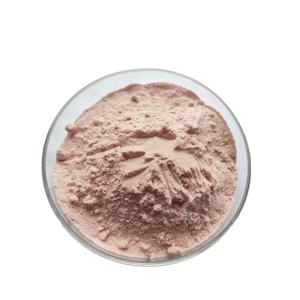 Yüksek kalite % 100% saf doğal Seimei özü tozu erik özü - Product Image 2