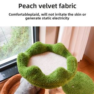 Massivholz <span class=keywords><strong>Cat</strong></span> <span class=keywords><strong>Tree</strong></span> & Scratcher Integrierte große <span class=keywords><strong>Cat</strong></span> House & Jumping Platform Spezielle <span class=keywords><strong>Cat</strong></span> Climbing Post mit Rahmen und Loch - Product Image 3