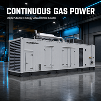 Groupe électrogène au biogaz haute puissance 1200 kW 1500 kVA haute efficacité, type conteneur